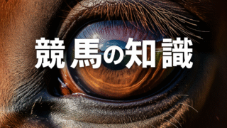 競馬豆知識