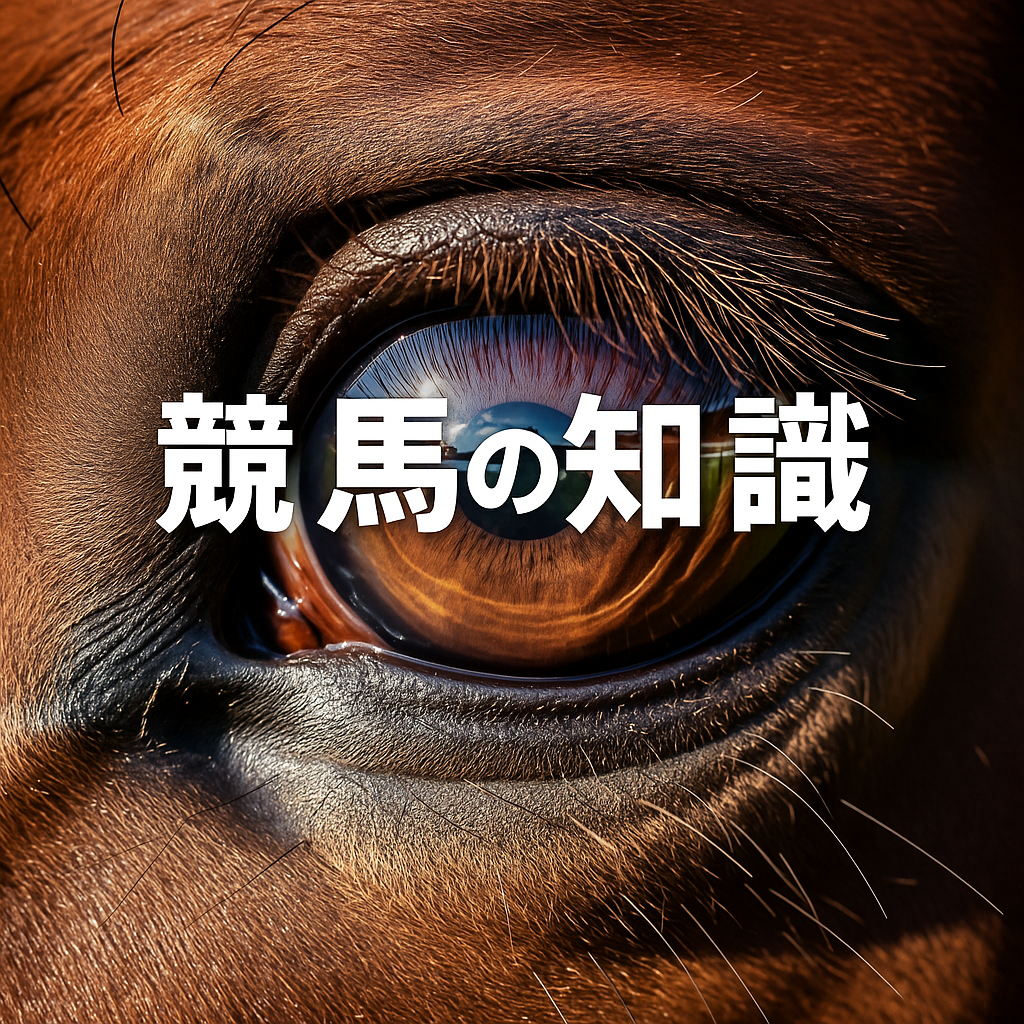 競馬の知識