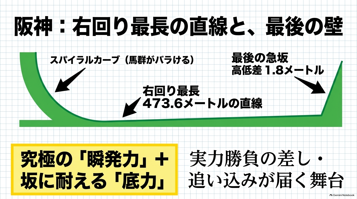スパイラルカーブから右回り最長473.6メートルの直線を抜け、最後の急坂に挑む究極の瞬発力勝負となる阪神競馬場の図解